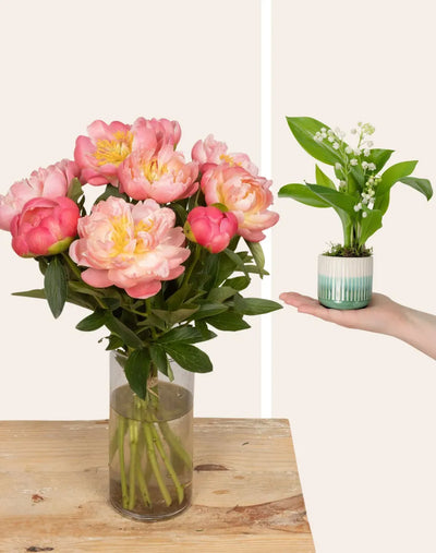 Duo de Printemps - Pivoines et Muguet (10 pivoines)